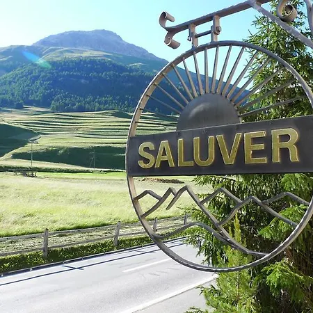 Saluver ホテル 3*