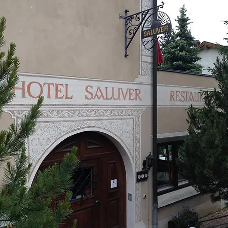 Saluver ホテル 3*