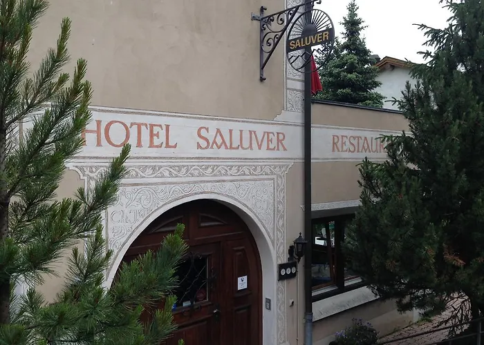 Saluver Otel 3*